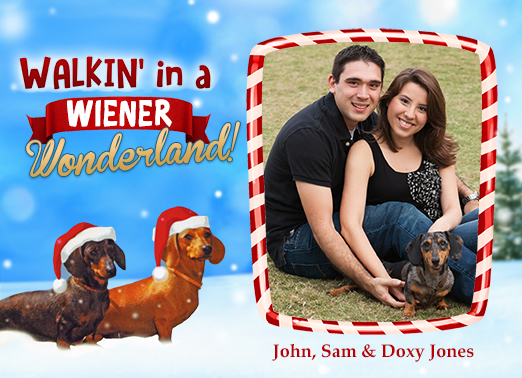 A%20wiener%20wonderland cover