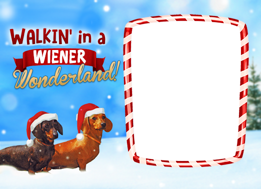 A Wiener Wonderland 5x7 horizontal flats Card Cover