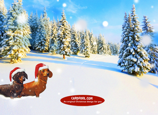A Wiener Wonderland 5x7 horizontal flats Card Inside