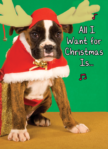All I Want - Funny Christmas Card to personalize and send.