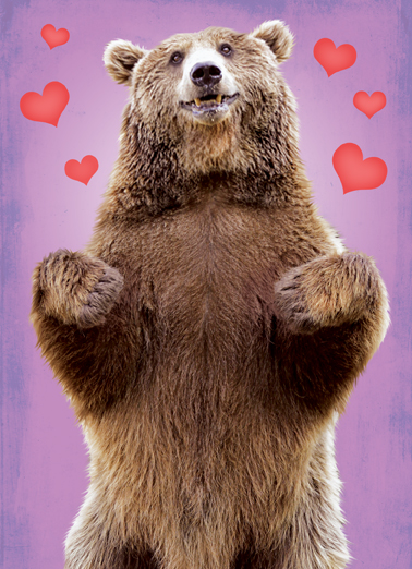 Bear Hug Val  Card Cover