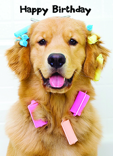 Beautiful  Ecard Cover