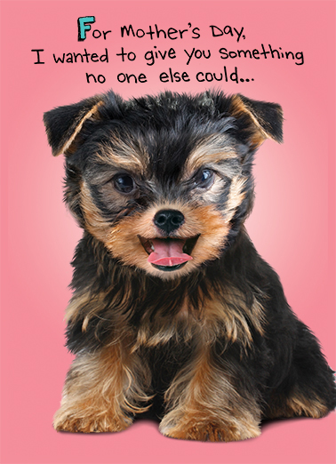 Big Hug md  Card Cover