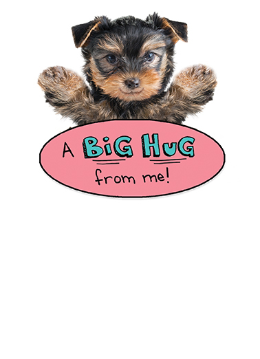 Big Hug md  Card Inside