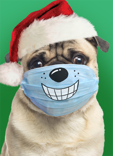 Big Smiles Xmas - Funny Christmas Card to personalize and send.