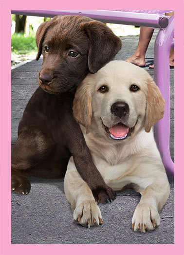 Birthday Hug md  Ecard Cover