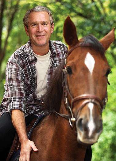 Bush Miss Me FD  Ecard Cover