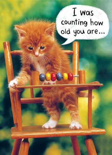 Cat Counting  Card Cover