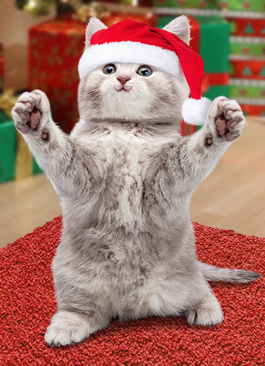 Cat Hug Xmas - Funny Christmas Card to personalize and send.