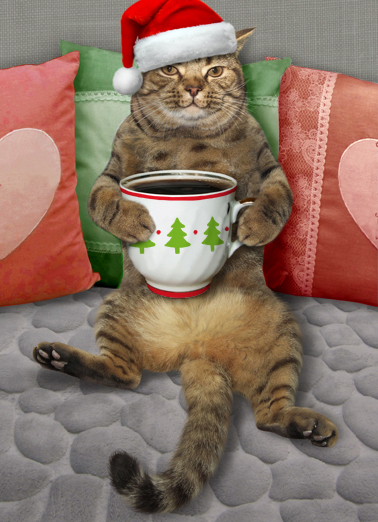 Cat With Coffee Xmas - Funny Christmas Card to personalize and send.