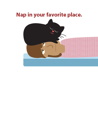 Cats Valentine's Day  Ecard Inside