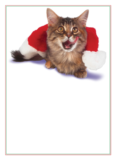 Christmas Cat - Funny Christmas Card to personalize and send.