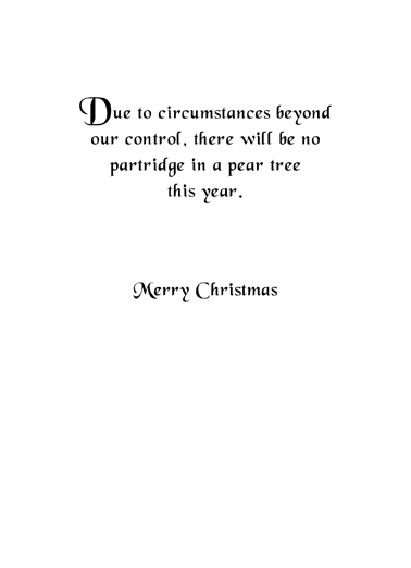 Christmas%20cat inside