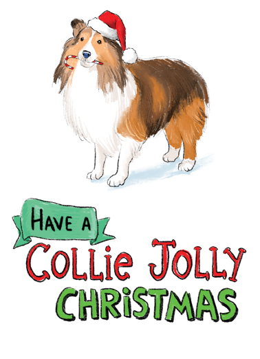 Collie Jolly  Card Cover
