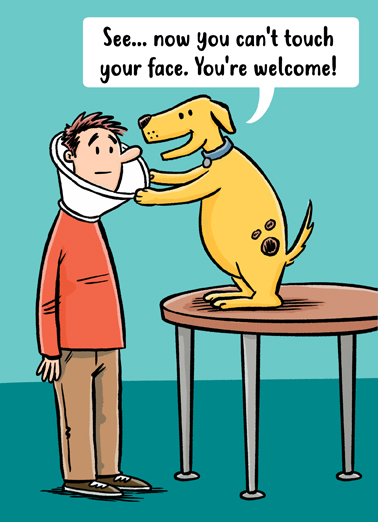 Cone Dog Hi  Ecard Cover