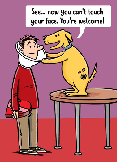 Dog Cone Val  Card Cover