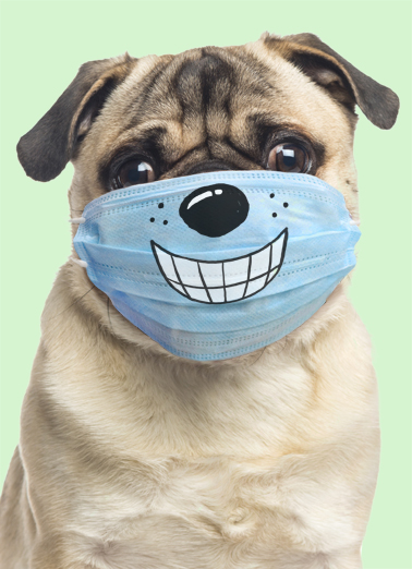 Dog Wearing Mask FD  Ecard Cover