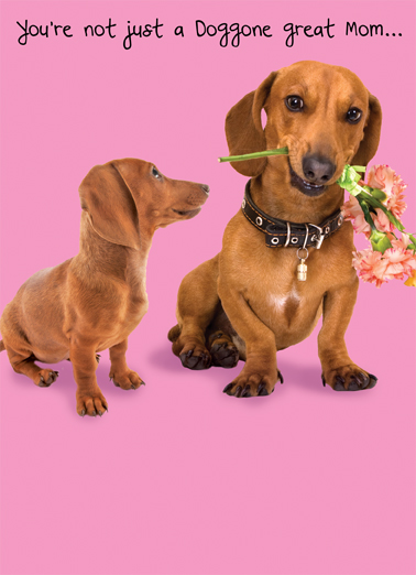 Doggone  Ecard Cover