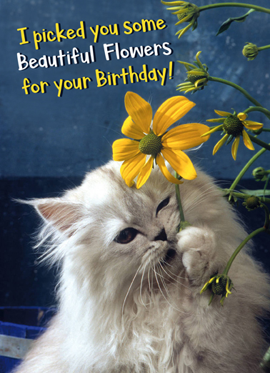 Eated Them  Ecard Cover