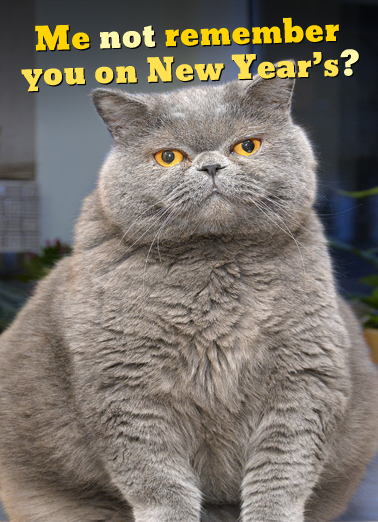 Fat Chance New Year  Ecard Cover
