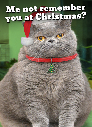 Fat Chance Xmas - Funny Christmas Card to personalize and send.