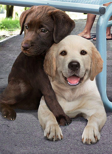 Father's Day Hug  Ecard Cover