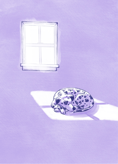 Happy Spot  Card Cover