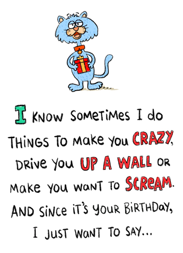 Just Sometimes BDAY Birthday Card Cover