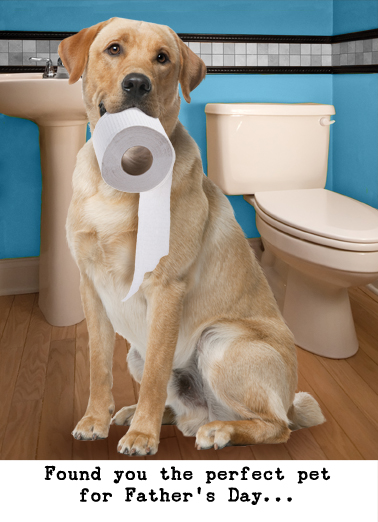 Lavatory Retriever (FD)  Ecard Cover