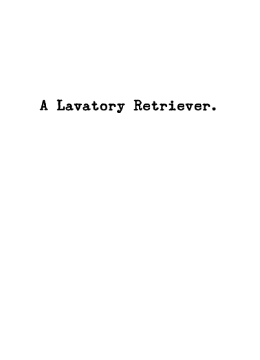 Lavatory Retriever (FD)  Ecard Inside