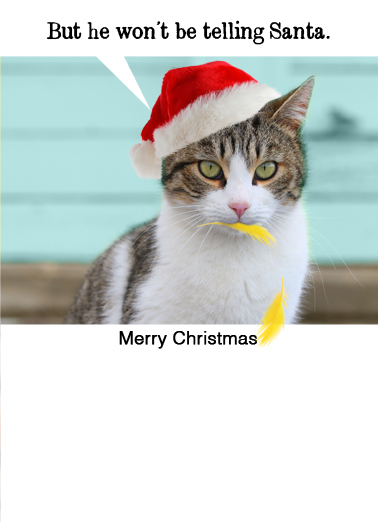 Little%20birdie%20%28xmas%29 inside