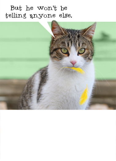 Little Birdie  Card Inside