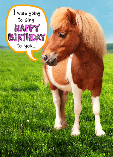 Little Horse bday  Card Cover