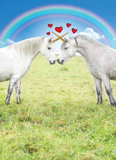 Magic Val  Card Cover