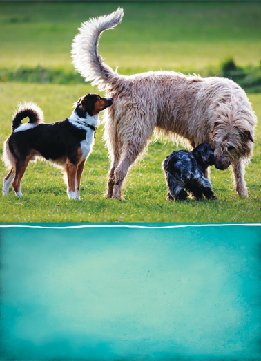 Makes Friends  Card Cover