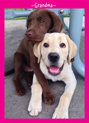 Mother's Day Hug  Card Cover