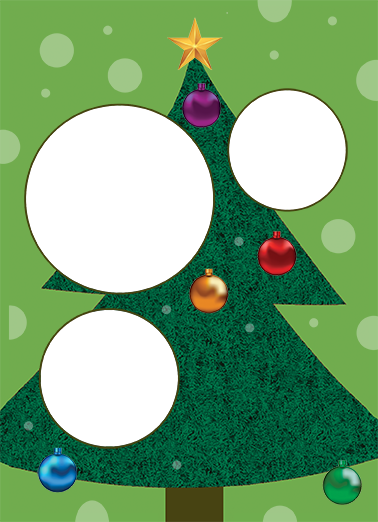 Ornaments  Card Cover