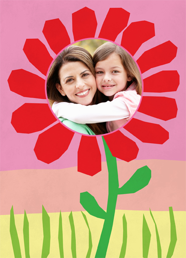 Picked This Out  Card Cover