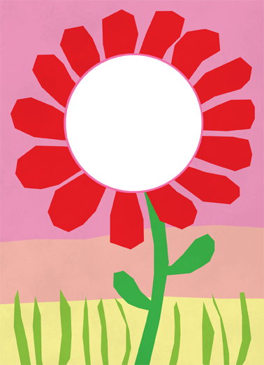 Picked This Out  Card Cover