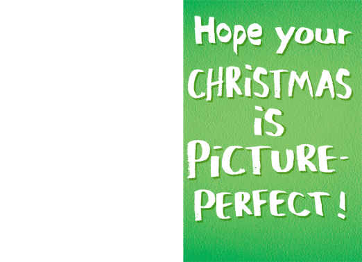 Picture-Perfect-XMAS-horiz 5x7 horizontal flats Card Cover
