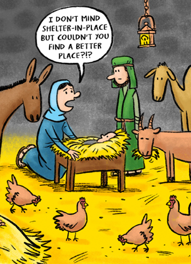 Shelter Place Xmas  Ecard Cover