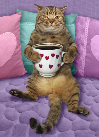 Sitting Here (MD)  Card Cover