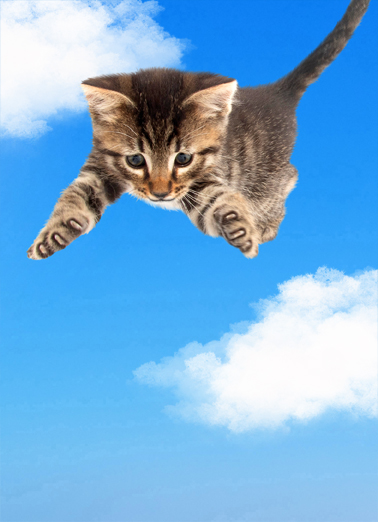 Smile Cat Hug  Card Cover