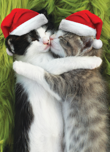 Snugs And Kisses Xmas - Funny Christmas Card to personalize and send.