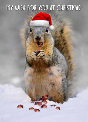 Squirrel In Snow - Funny Christmas Card to personalize and send.