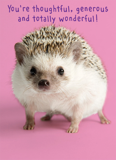 Totally Wonderful  Card Cover