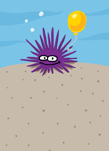 Urchin  Ecard Cover