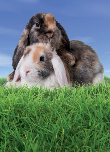 Warm Easter Hug  Card Cover