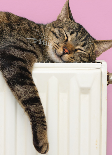 Warm and Happy (VAL)  Ecard Cover