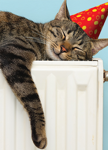 Warm and Happy  Card Cover